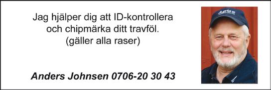 19:05 b 06 3 Svensk Travsports Unghästserie - Treåringslopp 3-åriga svenska högst 120.000 kr. 1640 m. Autostart. Pris: 50.000-25.000-17.500-12.500-8.000-5.500-5.500-5.500 (8 priser).