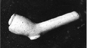 Fig43. Bilden visar en kritpipa från vraket hittad av Gotlands sportdykarklubb.