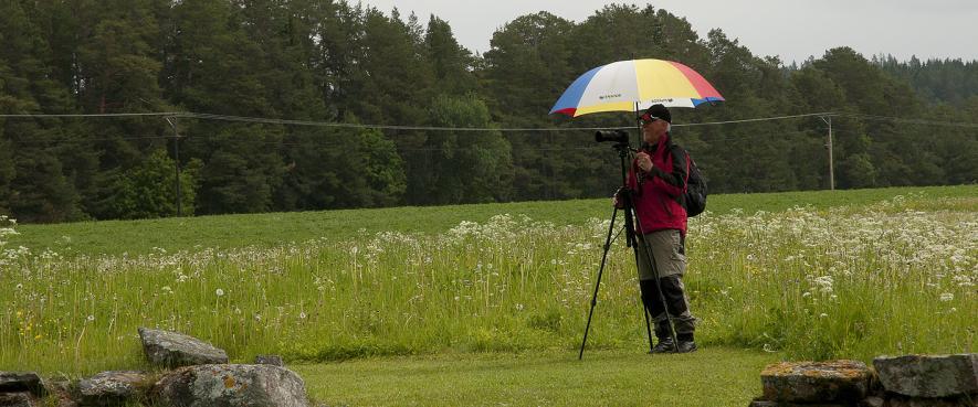 Lite regn stoppar inte en hängiven fotograf