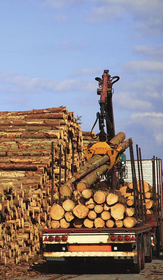 EXPORTEN I NORRLAND n EXPORTEN ÖKADE 217 U ppgifterna på denna sida baseras på en regional fördelning av utrikeshandelsstatistiken.