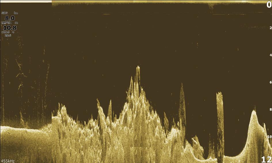 10 DownScan DownScan ger detaljerade bilder av strukturen och fisk direkt under båten, ned till 91 m (300 fot) vid 455 khz och 46 m (150 fot) vid 800 khz.