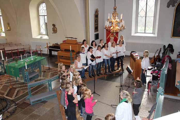 Den vänder sig till samtliga bleck- och träblåsare som är intresserade av att vara med och spela i en ensemble och vi brukar framträda i någon kyrka vid 3-4 gånger per termin med musik och hjälp i