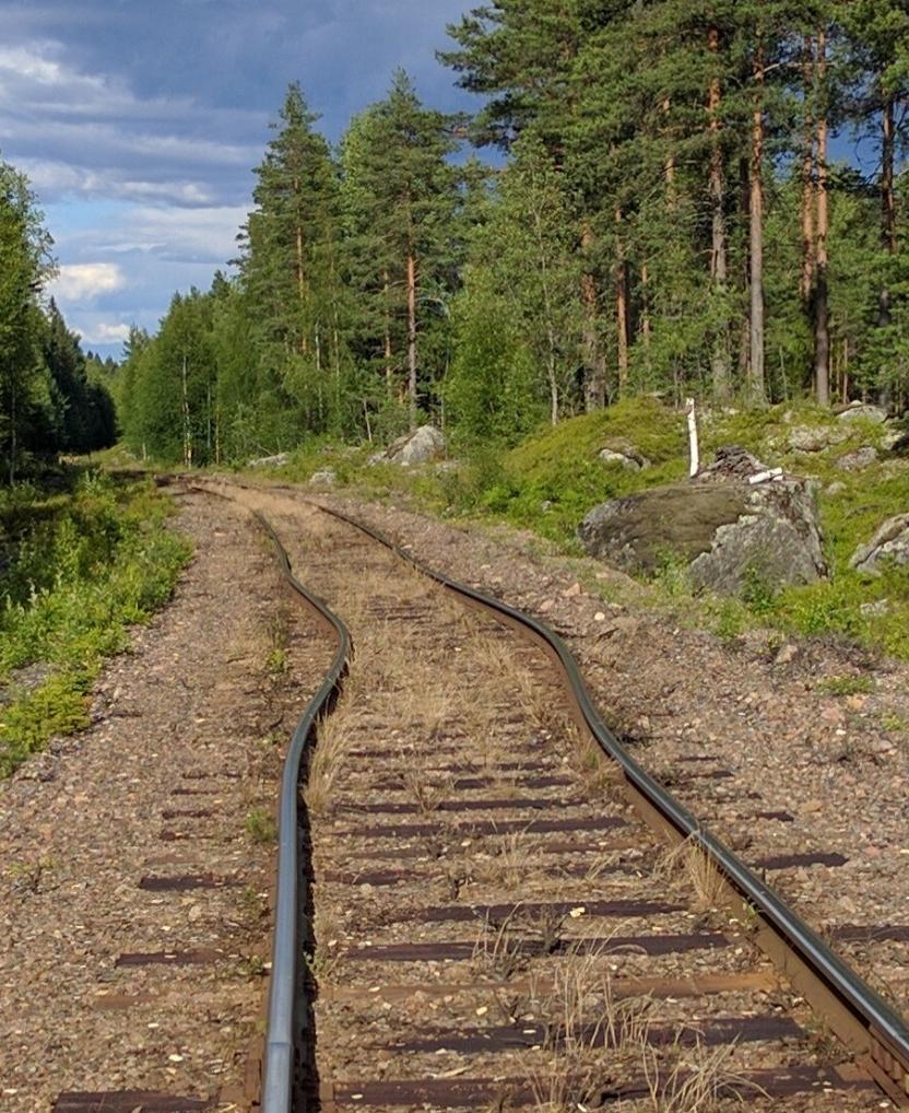 1. Sammanfattning Rapporten innehåller information om inträffade solkurvor 2016 samt en sammanställning av statistik och erfarenheter för åren 2008-2016.