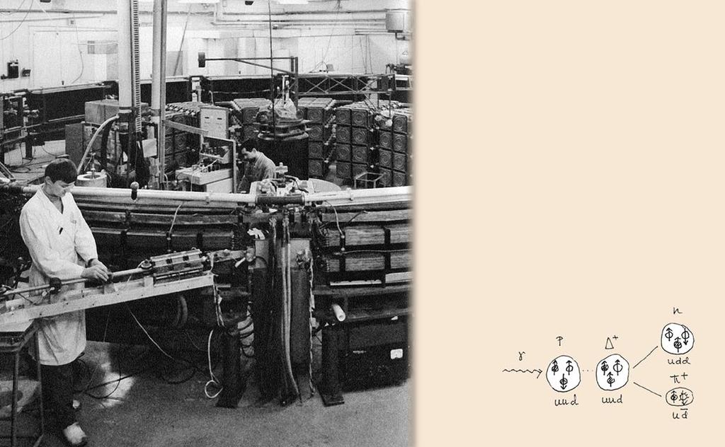 LUSY När 1,2 GeV (1 200 MeV) elektronsynkrotronen LUSY 1962 togs i bruk påbörjade kärnfotogruppen under Bengt Forkmans ledning en serie studier över högenergetiska fotoreaktioner långt över