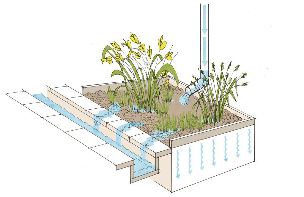 16 (20) 4.2 Regnträdgårdar Dagvatten kan fördröjas med hjälp av s.k. regnträdgårdar (rain gardens), se figur 4.