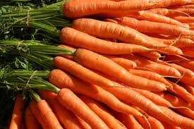 carrots into a husmutsig el från kolkraft som ingår i den