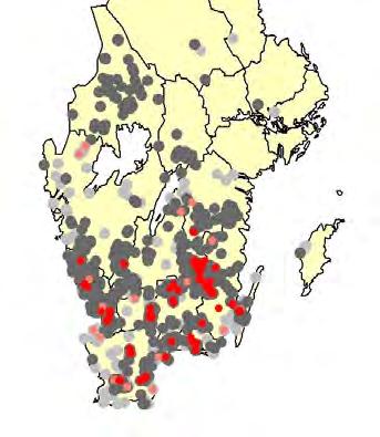 Väddgökbiet lever som boparasit hos väddsandbiet, och samlar ingen pollen själv. Väddsandbiet är specialiserat på pollensamling av åkervädd.