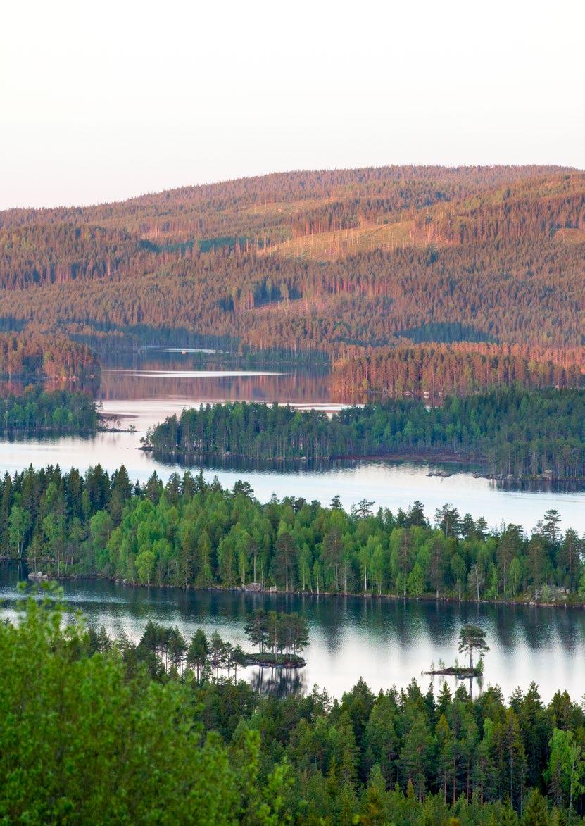 Förvaltningsberättelse