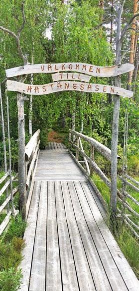 Ekonomi Vansbro kommun har en hållbar ekonomi 1 Strategier för att uppnå målet: Vansbro kommun för en ansvarsfull politik där ekonomin är i balans.