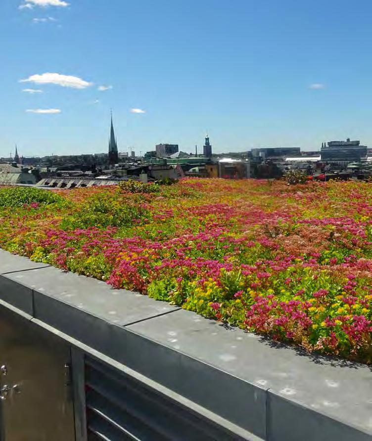 Ju tjockare växtbädden är desto bättre absorberas och fördröjs regnvattnet. Lund Skånes universitetssjukhus. Malmö Grönt tak på miljöhus.