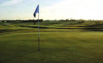 sportytor Sportytor så som fotbollsplaner och golfgreener anlagda med Hekla Green blir extremt tåliga och spelbarheten ökar.