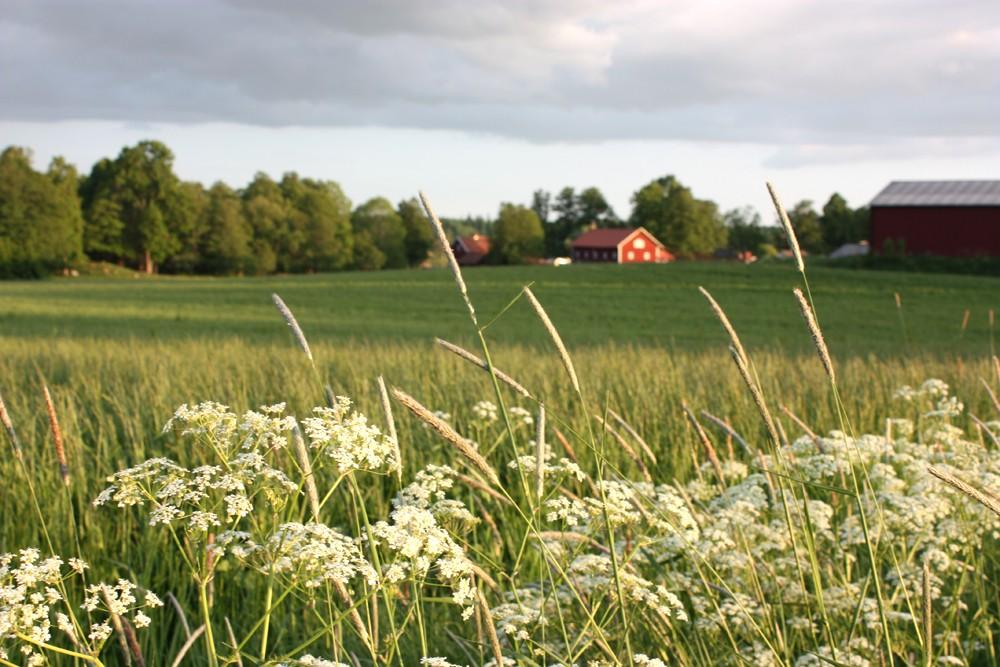 KS/2011:726-402 Från nationella till