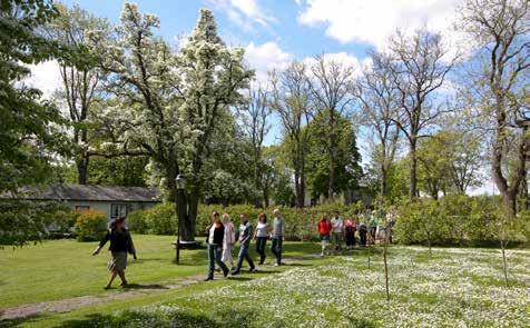 I den fridfulla Pilgrimsleden guidas du med hjälp av S:t Olofskorset genom Historiska Husaby, naturreservat, alvarmarker