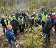 Södras olika erbjudanden för ett ansvarsfullt och hållbart brukande av skogen omfattar allt från kvalitetssäkrad avverkning,