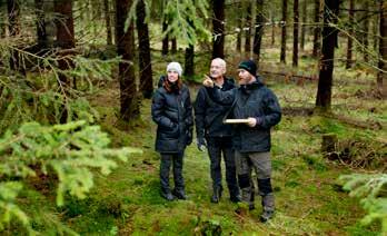 Förvaltningsberättelse Södra Skog ökad efterfrågan på fiberråvara Södras utökade produktionskapacitet ökade efterfrågan på skogsråvara.