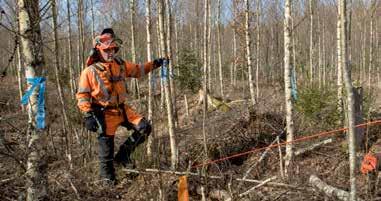 Hållbarhet Hållbart skogsbruk Den privata äganderätten och frihet under ansvar är grundläggande drivkrafter för skogsbrukets hållbara utveckling.