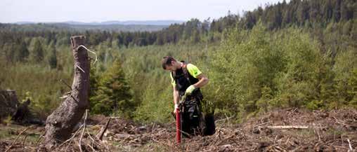 Hållbarhet Styrning och organisation för hållbarhet Södras vision och värdegrund är basen för all verksamhet inom koncernen.