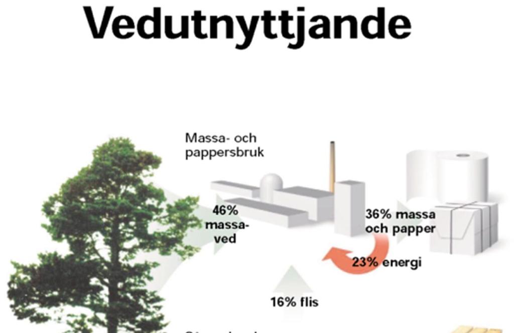 Energi 8 % primära bränslen - skogens