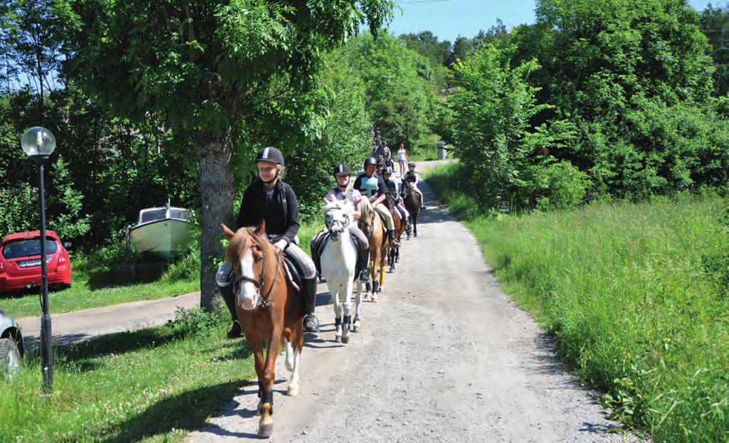 Möt Värmdös hästar leende! Värmdö Hästvägsförening vill samla medlemmar som kan föra en konstruktiv dialog som leder till konkreta lösningar där hästar är ett naturligt inslag i mljön.