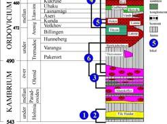 Mittoceaniska ryggar -