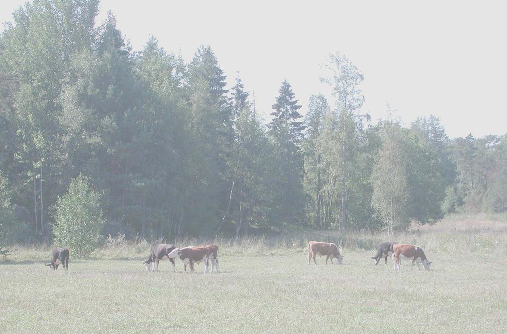 Naturskydd är en verksamhet! Vem sköter Highland Cattle i reservaten? Får staten odla barkborrar?