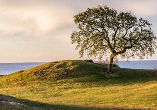 lägger en grund för att du ska lyckas med ett mer hållbart evenemang.