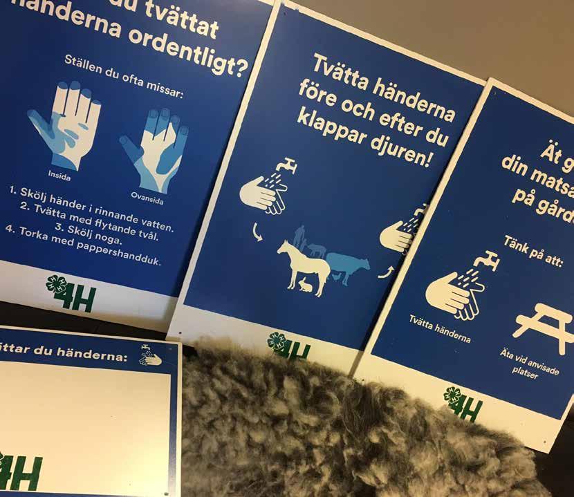 Projekt 2017 Verksamhet för alla Sveriges 4H har med stöd från Svenskt friluftsliv under 2017 arbetat vidare med det andra året på det treåriga projektet Verksamhet för alla.