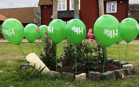 4H-aktiviteter 2017 Riksläger- Rix17 Rikslägret, Rix17, arrangerades i Nunnäs, Skåne, mellan den 14-21 juli och bjöd på ljusa, varma kvällar, mys kring brasan, intensivt volleybollspel, toast,
