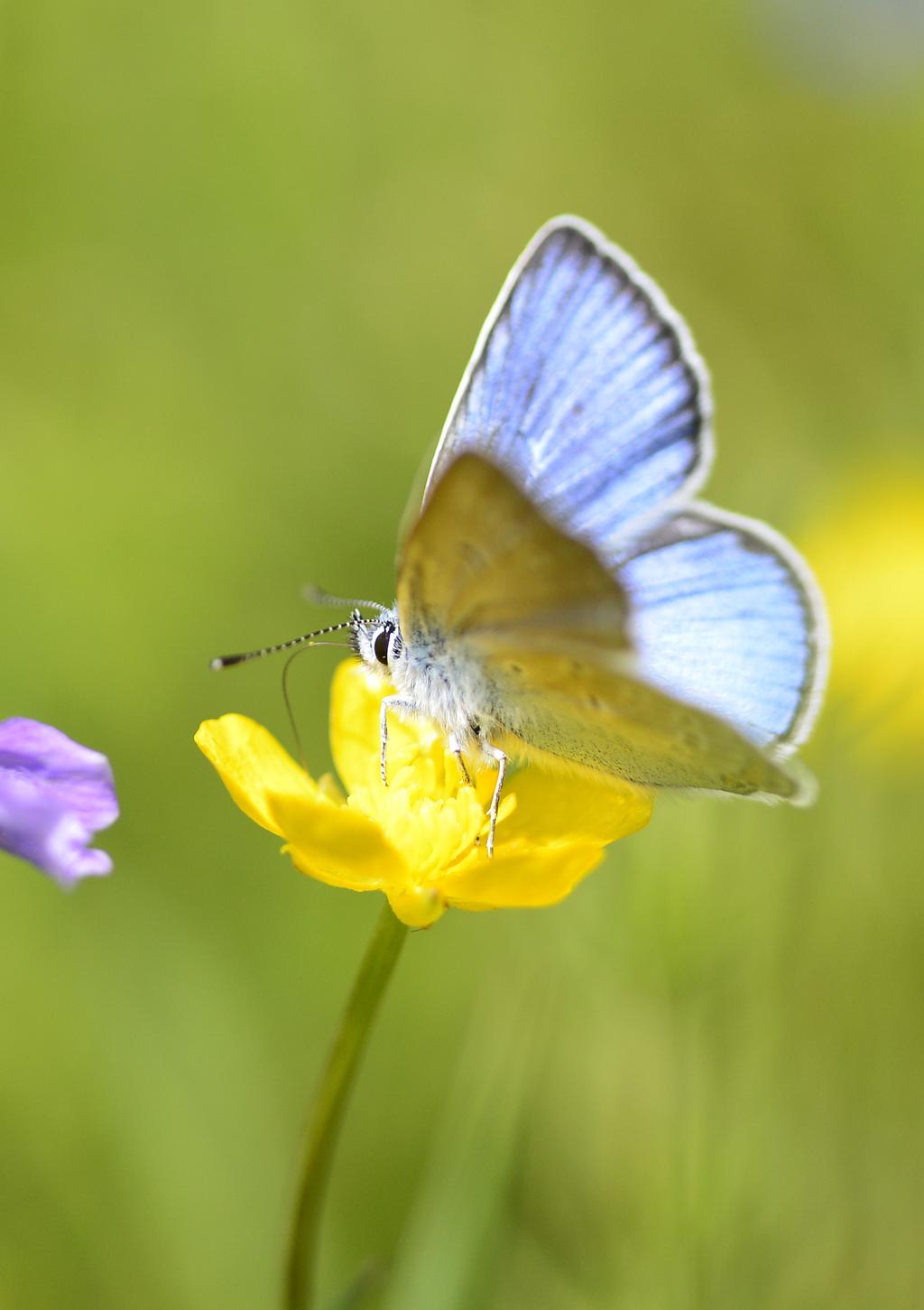 Vi önskar dig ett jätteskönt och roligt sommarlov!