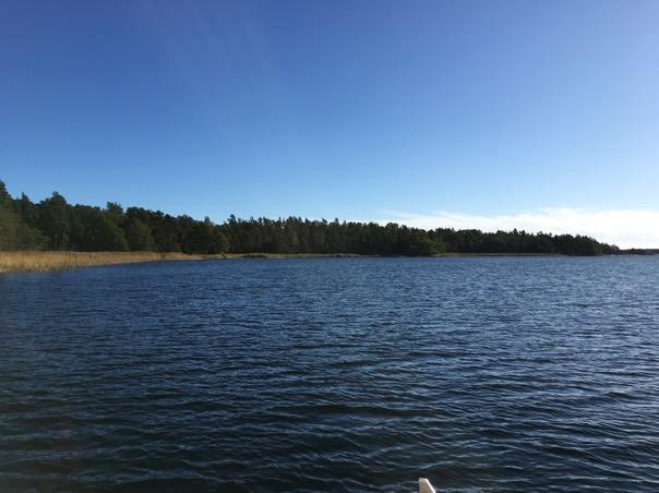 På uppdrag av: Magnus Gustavsson, Söderköping Version/datum: 2017-11-01 Bedömning av naturvärden i vattenmiljön vid Marö Inför samråd gällande anläggande av brygga Calluna AB (org.