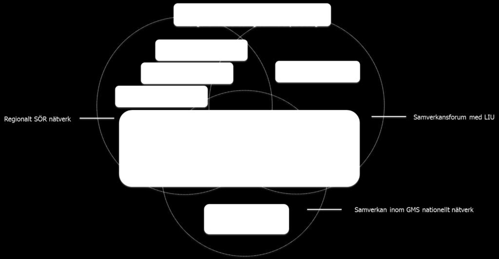 Strategi för GMC i SÖR 11/11 En organisation för samverkan kan illustreras enligt figuren nedan.