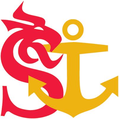 Regelbunden tillsynsrapport SFCR - Solvency and
