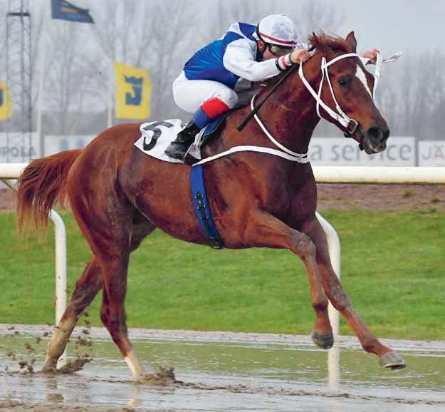 DERBYBANAN JÄGERSRO NR 8 TORSDAG 14 JUNI 2018 KL 18.