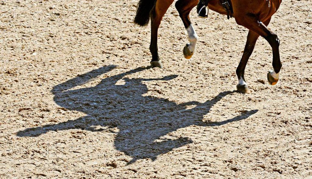 STALLTIPS RID HÄSTEN FRISK För att undvika skador i knäleden krävs att hästen inte travar bakom sig utan bär med sina bakben.
