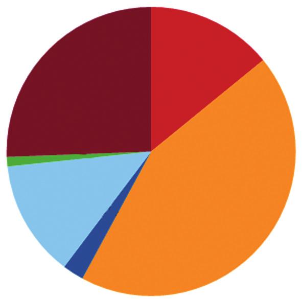 Flen Finansiering av projekt i Flen 2008-2014, SEK EU/Stat 6 573 423 LAG-pott 2 277 174 Övrig offentlig 358 066 Privat 161 491 Summa faktisk finansiering 9 370 154 Ideellt arbete 3 841 164*)