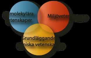 Forskning på Institutionen för kemi och molekylärbiologi Institutionen omfattar runt 60 forskare och lärare som bedriver högkvalitativ