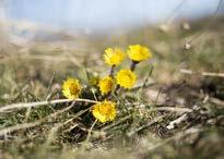 FOTO: KARIN NILSSON Underbar medmänsklighet Tisdag den 17 april fick jag bensinstopp, mitt i rusningstrafiken, på en bro vid rondellerna på Arningeleden.