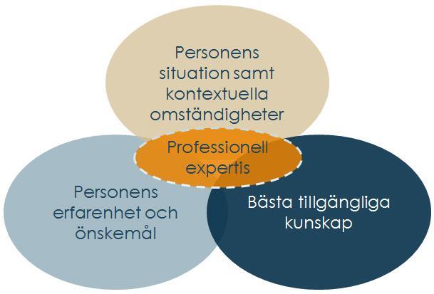 EVIDENSBASERAD PRAKTIK Evidensanvändare Källa: www.