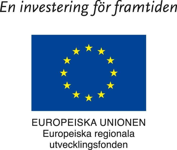 MITTUNIVERSITETET Projekt Kundanpassad teknikinformation KATI Utveckling och test av arbetsmetod för identifiering