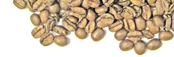 Kaffebrännare och kaffebönor (Kafibrennari å kafibyönor) Att köpa färdigrostade och malda kaffebönor i paket är ett ganska sent påfund.