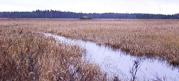 JULI 2012 Unjärv, Malax, 21 oktober 1984 Aandra Två par aandrar (kat.nr 11481 t.v., okänd donator; 15805, donerade av Eva Ekblad) i Malax museiförenings samlingar.