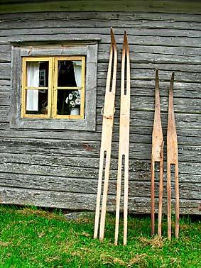 Hö från hemmanets närbelägna äng ar och slåttermarker räck te inte alltid till. Det gällde att ta vara på allt korna var många och hemmanen små.