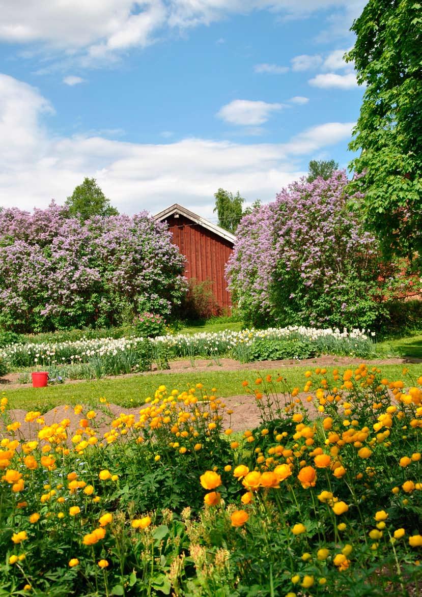 Sol och sommar från Brinkens museum och