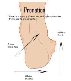 Dorsalflexion