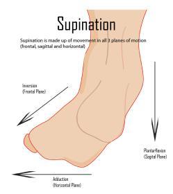 (supination)