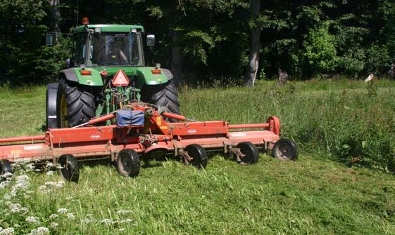 En del av viltvårdsarbetet kan vara att putsa rätt och vid rätt tid. Att tänka på vid eventuell putsning: Putsa aldrig mer än 50 procent av ytan. Putsa alltid på sensommaren vid helputs.