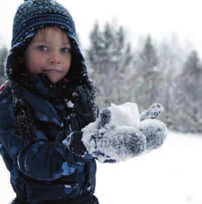 52,0 cm 50,0 cm RÖJNINGSKAPACITET