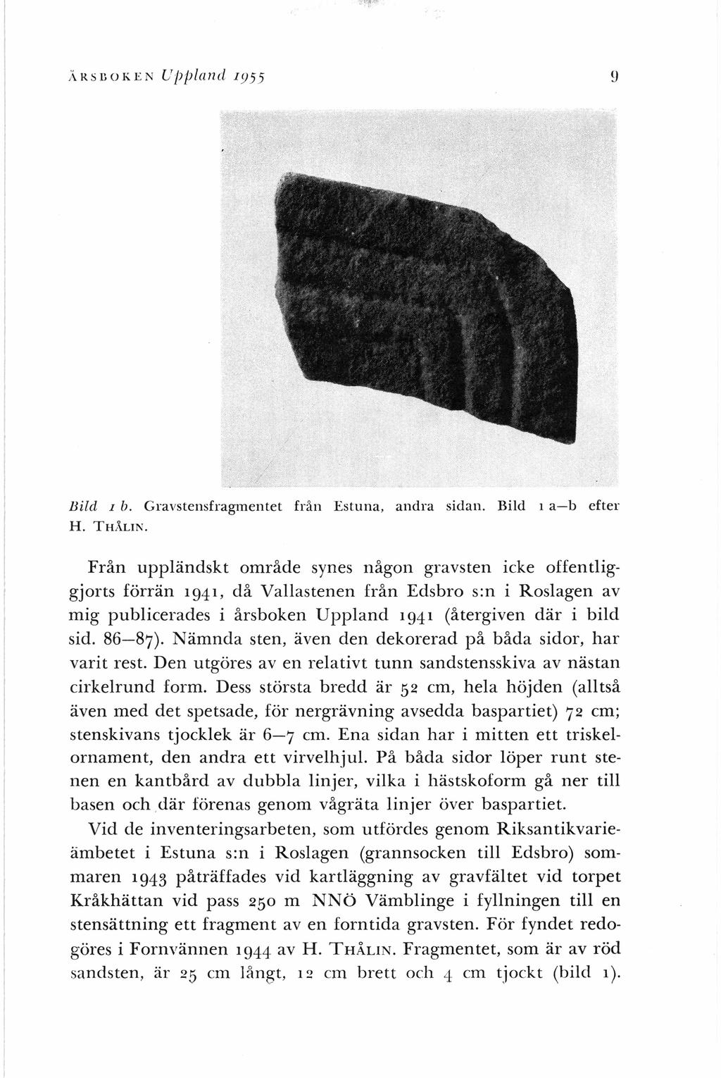 ARsr:oKEN UjJpland i955 Bild 1 b. Gravstensfragmentet från Estuna, andra sidan. Bild 1 a-b efter H. THXLIN.