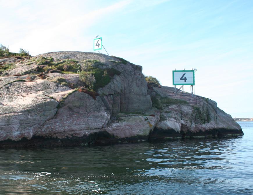 Övervakning av Makroalger i Brofjorden 199-1 Inventeringsår 1 djupet på lokalen varierar mellan inventeringstillfällen, då transekten förlängdes år 9, och avslutas nu på ca 11 meters djup där en
