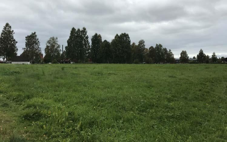 Förutsättningar och förändringar Natur Området är beläget i ett bostadsområde och är idag bevuxet med gräs.